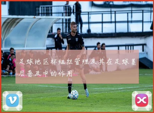 足球地区杯组织管理及其在足球基层普及中的作用